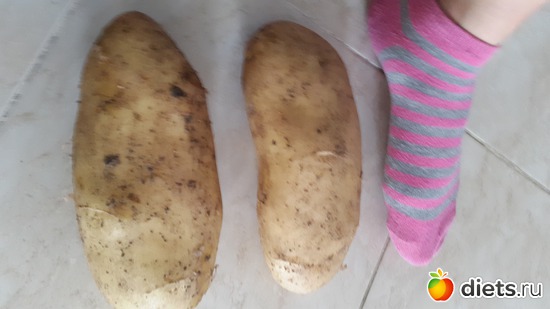 26 фото: Продукты по диетам!