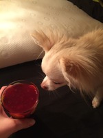 01.04.2015 - День смеха прошел не очень смешно)