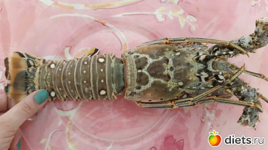 36 фото: Продукты по диетам!