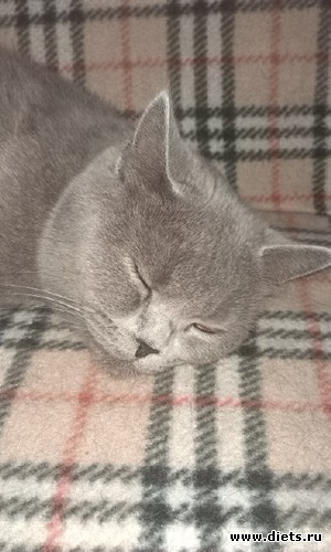 ������ �������, ������: � � ��� �����!