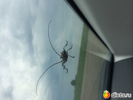 2 ����: ����