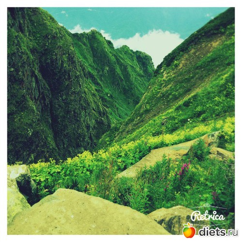 1 ����: ������� ����