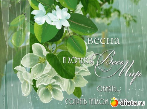 всякая всячина...