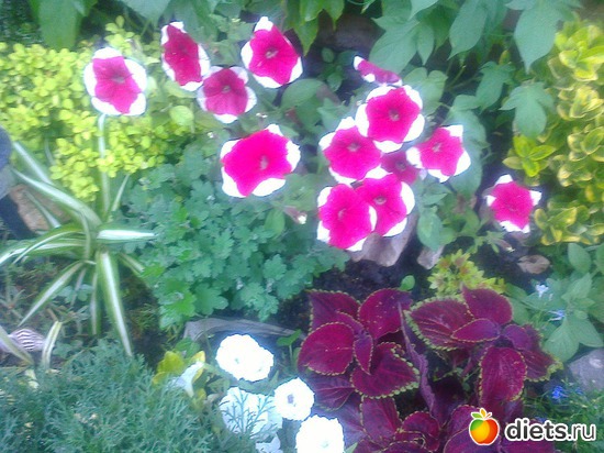 10 ����: �� ���������