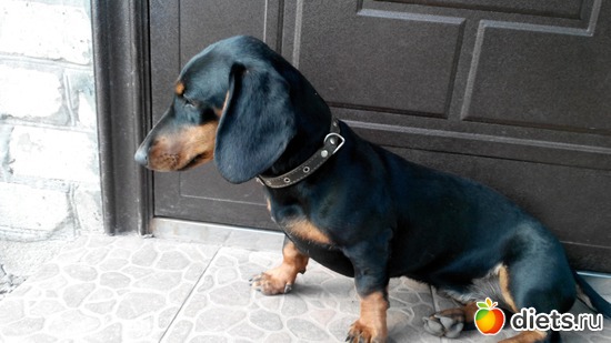 4 ����: ...�� "�������" �����...