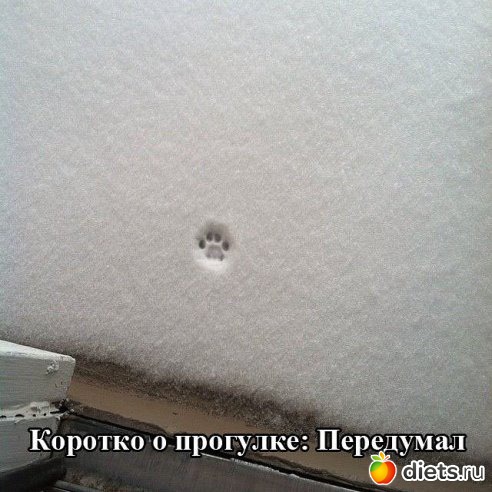 ������ �������