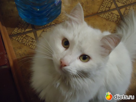 7 ����: ...�� "�������" �����...