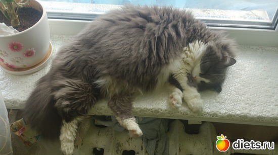 9 ����: ��� ����