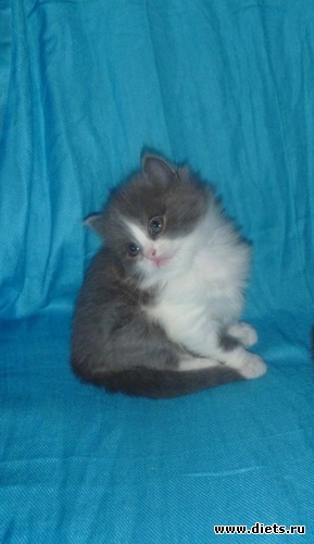 10 ����: ��� ����