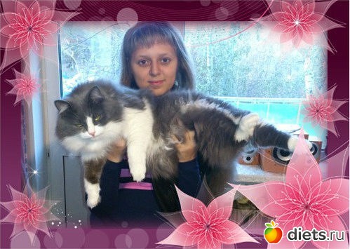 ��� ����