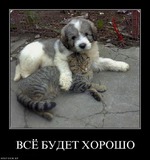 Чем дольше живем мы, тем годы короче, тем слаще друзей голоса...