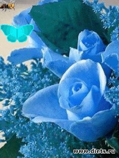 ����� �����