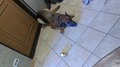 ���� ������ � ������ � �� ������ ����� ����