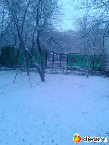 20 опреля 2015г, Москва., альбом: Пейжажи, природа, погода.