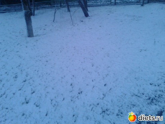 20 апреля 2015г. Москва., альбом: Пейжажи, природа, погода.