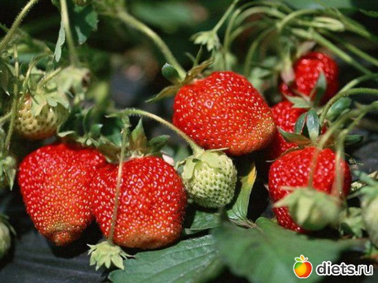41 ����: ����...�������...