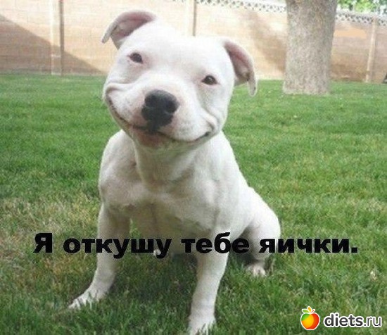 2 фото: То,от чего улыбка на лице)
