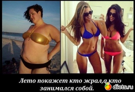 1 ����: ��� ���������.