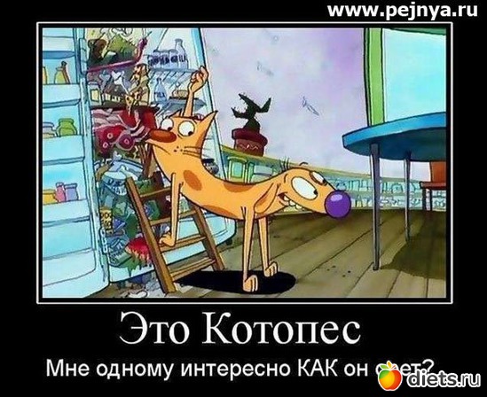 21 фото: То,от чего улыбка на лице)