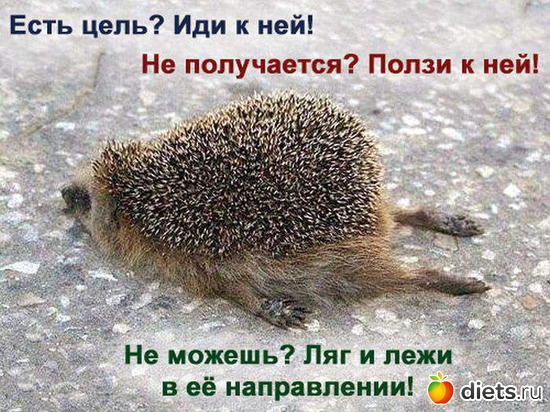 5 фото: Мотивация, стимулы и просто правильное