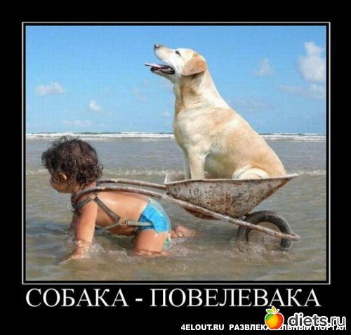 То,от чего улыбка на лице)