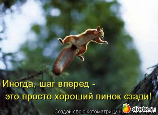 785 фото: То,от чего улыбка на лице)