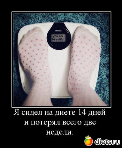 ==