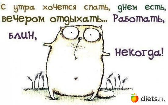 14 фото: Настроение)))