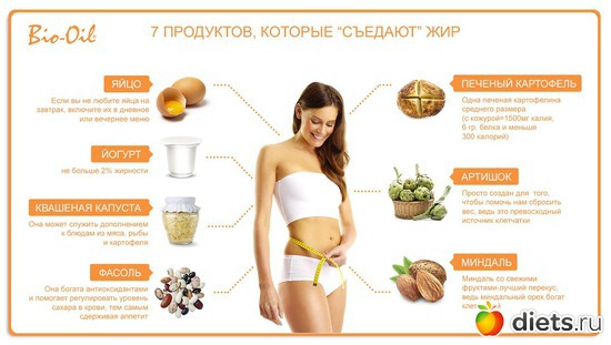 20 ����: ������� �����