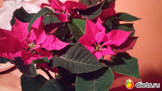 62 фото: все как есть