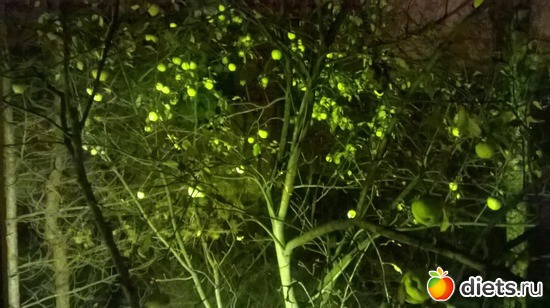 103 ����: �������� �� �����-����������