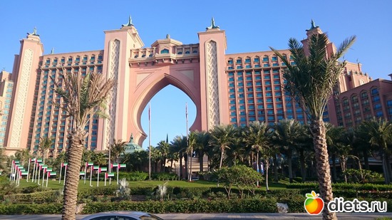 15 ����: �����, 5.12.2015