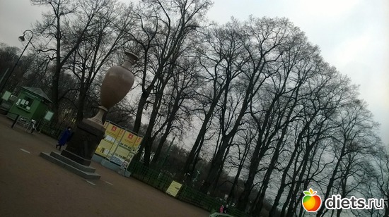 64 фото: Летний сад Петербурга