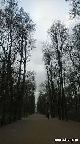 65 фото: Летний сад Петербурга