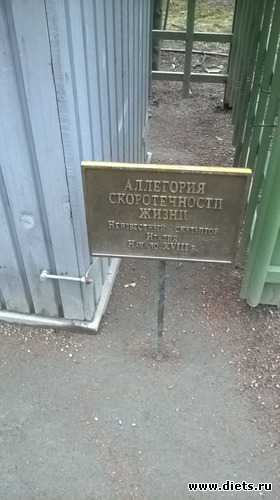 69 фото: Летний сад Петербурга