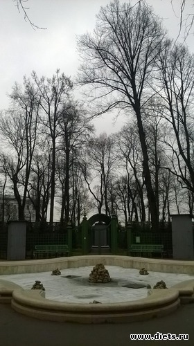 74 фото: Летний сад Петербурга