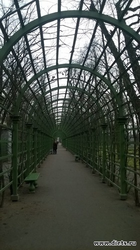 75 фото: Летний сад Петербурга