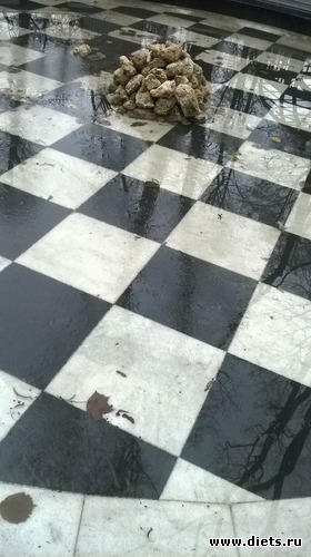 79 фото: Летний сад Петербурга