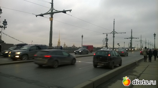 80 фото: Летний сад Петербурга