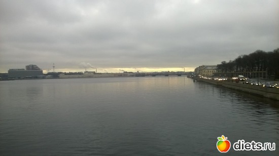 81 фото: Летний сад Петербурга