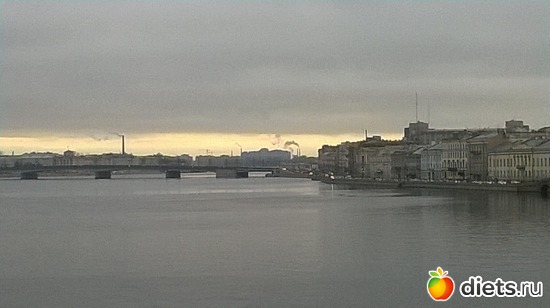 83 фото: Летний сад Петербурга