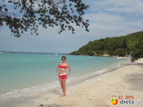 ������� 2015, ������: ��� �.