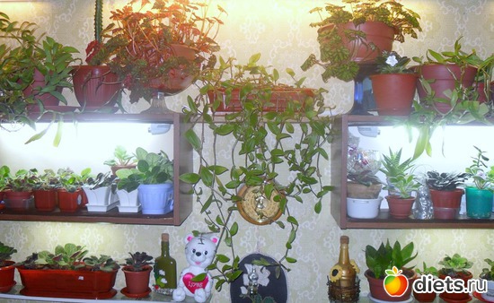 Один из вариантов зимней подсветки, альбом: Мои любимые хоббиты.