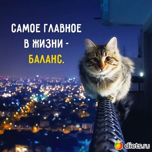 6 ����: � �����