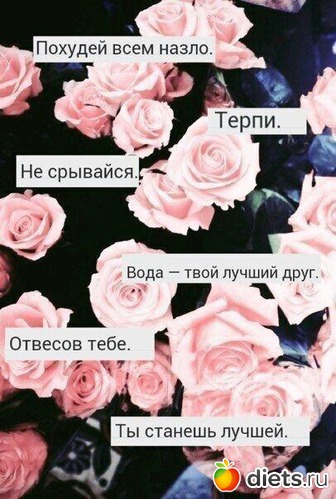 2 ����: ��������� ^_^