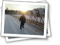 Активный отдых)