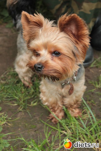 53 фото: все как есть