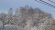 Доброго дня Всем... У нас красивый день!