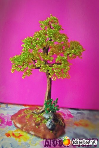 10 ����: �����������:)