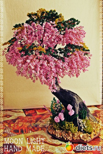 11 ����: �����������:)